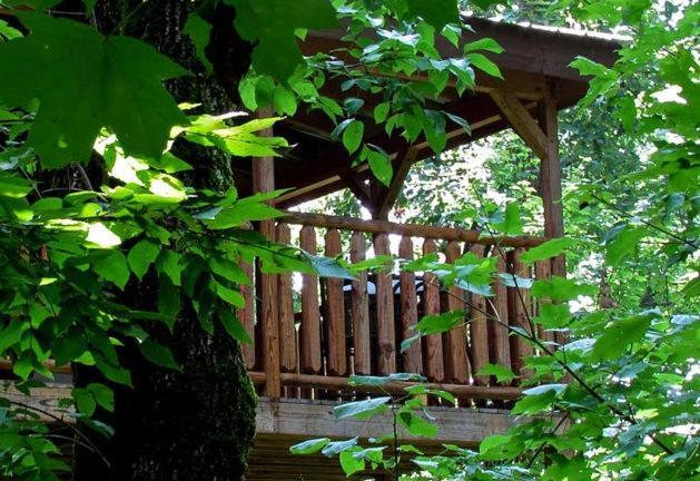 #2903 Abundantly Blessed Villa Pigeon Forge Exterior photo